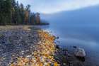 Foggy morning on Lake McDonald in Glacier National Park, Montana, USA Art Print